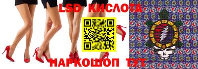 jwh Кингисепп