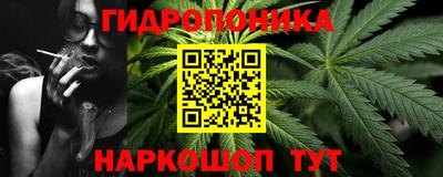 jwh Кингисепп