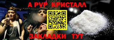 jwh Кингисепп
