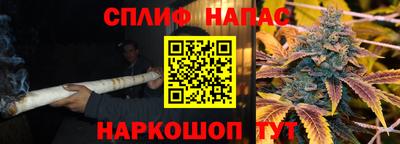 jwh Кингисепп