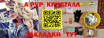 jwh Кингисепп