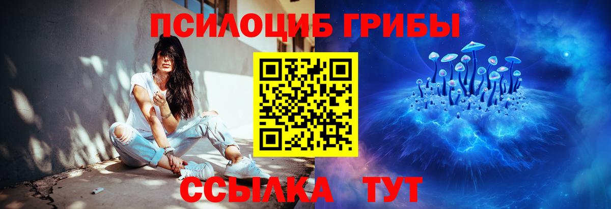 Галлюциногенные грибы прущие грибы Кудрово