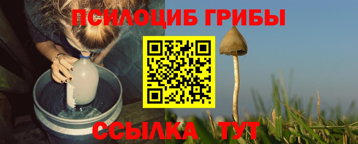 Кудрово  Галлюциногенные грибы Magic Shrooms  Вход с VPN 